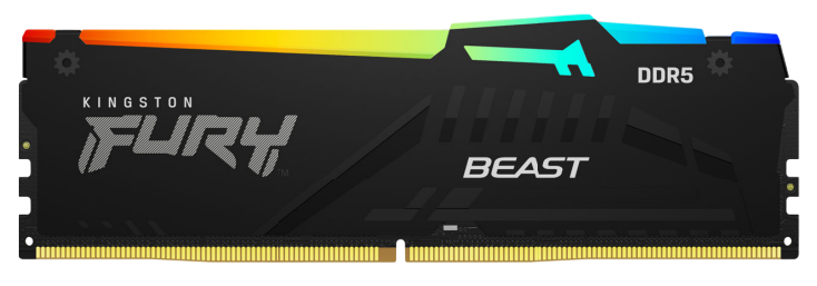 RAM DIMM Kingston 16GB DDR5 5600MHz Fury Beast RGB EXPO CL36
